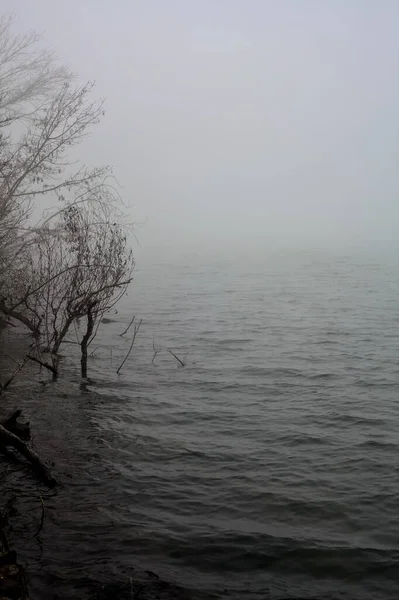 Shore River Bare Trees Foggy Day Italian Countryside — Photo