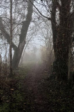 İtalya 'nın kışın kırsalında sisli bir günde nehir kıyısındaki bir parkta yol.