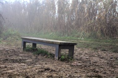 İtalya kırsalında sisli bir günde çıplak ağaçlarla dolu bir nehrin kıyısında bankta.