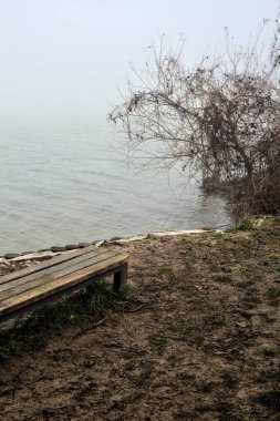 İtalya kırsalında sisli bir günde çıplak ağaçlarla dolu bir nehrin kıyısında bankta.