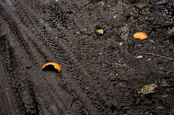 Orange Peels Muddy Path Seen — Photo