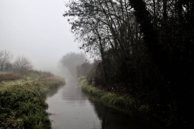 Stream of water bordered by bare trees on a foggy day in the italian countryside in winter