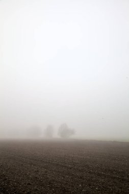 Ploughed field with a bare tree in the distance on a foggy day in winter