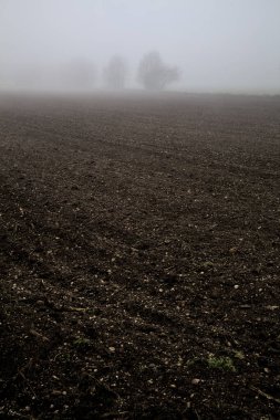 Ploughed field with a bare tree in the distance on a foggy day in winter