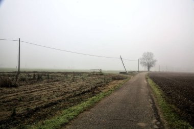 Road with a poplar and an over head power line in the italian countryside on a foggy day in winter