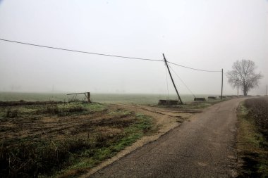 Road with a poplar and an over head power line in the italian countryside on a foggy day in winter