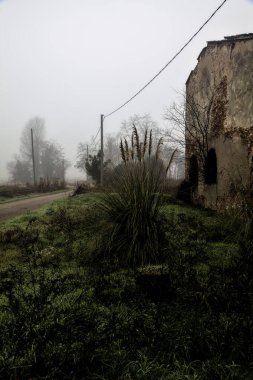 Old mansion by the edge of a country road on a foggy day in winter