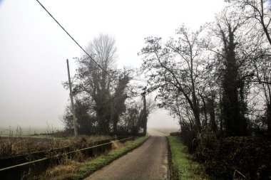 Country road that passes through a group of bare trees on a foggy day in the italian countryside in winter