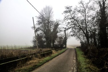 Country road that passes through a group of bare trees on a foggy day in the italian countryside in winter