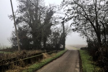 Country road that passes through a group of bare trees on a foggy day in the italian countryside in winter