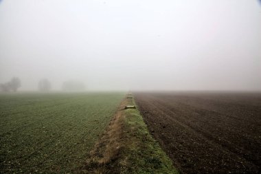 Country road in the middle of fields with a over head power line at its edge on a foggy day in winter