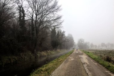 Gravel road bordered by a forest and a stream of water on a foggy day in winter