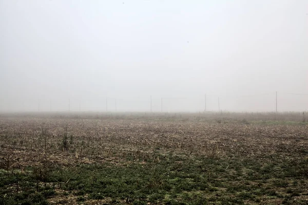 Ploughed Field Head Power Line Fog Italian Countryside Winter —  Fotos de Stock