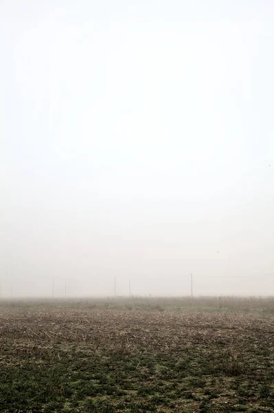 Campo Arado Con Una Línea Eléctrica Sobre Cabeza Niebla Campo — Foto de Stock