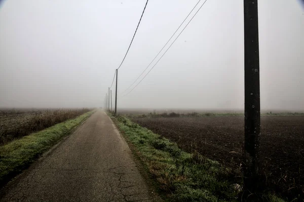 Country Road Middle Fields Head Power Line Its Edge Foggy — стоковое фото