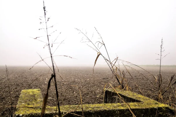 Small Weir Edge Ploughed Field Foggy Day Winter — Photo