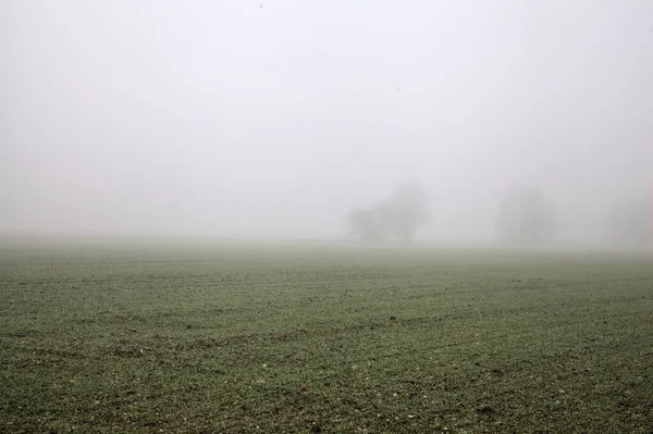 Campo Cultivado Campo Italiano Día Niebla —  Fotos de Stock