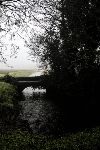 Stream Water Brick Bridge Trees Foggy Day Winter — Photo