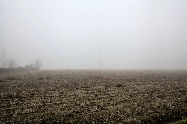 Ploughed Field Fog Head Power Line Distance — Foto Stock