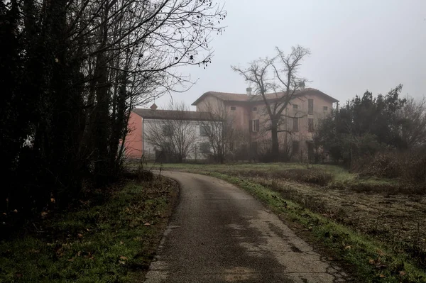 Country Road Mansion End Foggy Day Winter — стоковое фото
