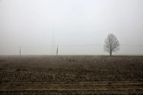 Ploughed Field Bare Tree Distance Foggy Day Winter — Stockfoto