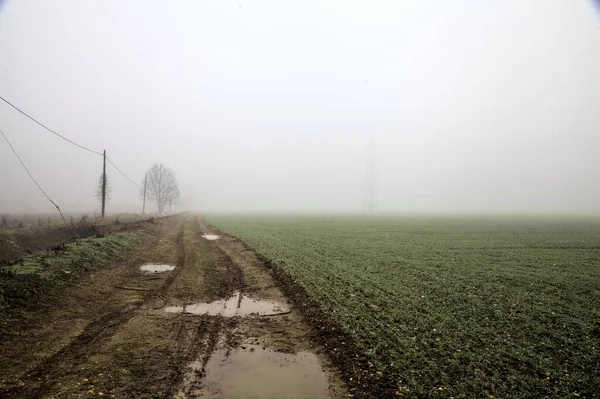 Dirt Road Puddles Head Power Line Its Edge Foggy Day — стоковое фото