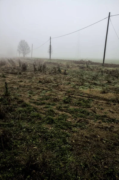 Dirt Road Puddles Head Power Line Its Edge Foggy Day —  Fotos de Stock