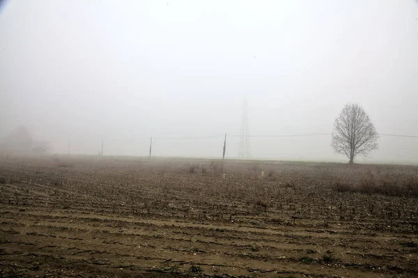 Ploughed Field Bare Tree Distance Foggy Day Winter — Foto Stock