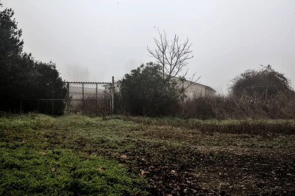Gate Leads Barn Foggy Day Winter — Stockfoto