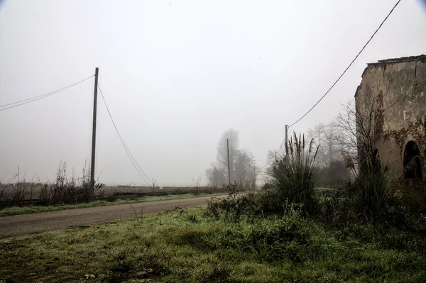 Old Mansion Edge Country Road Foggy Day Winter — 스톡 사진