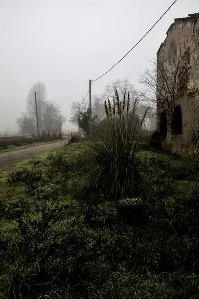 Old Mansion Edge Country Road Foggy Day Winter — 스톡 사진