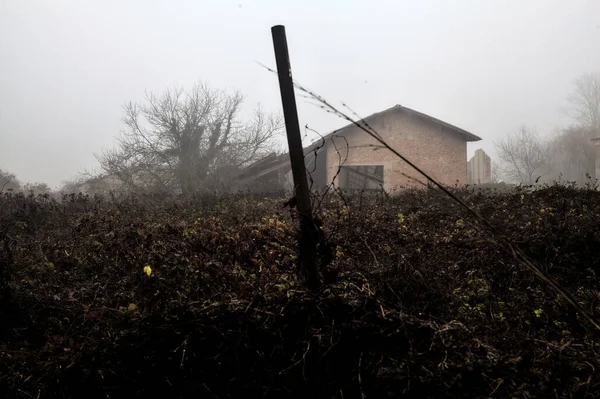 Abandoned Courtyard Barn Distance Foggy Day — Fotografia de Stock