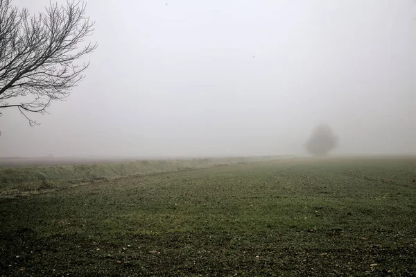 Ploughed Field Bare Tree Distance Foggy Day Winter — Photo