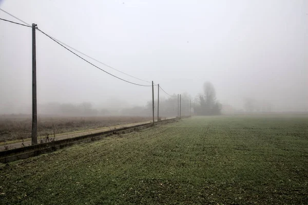 Country Road Middle Fields Head Power Line Its Edge Foggy — 图库照片