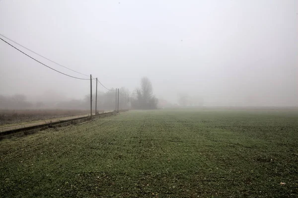 Country Road Middle Fields Head Power Line Its Edge Foggy — Stock Photo, Image