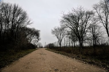 Dirt road with puddles bordered by bare trees on a cloudy day in winter in the italian countryside