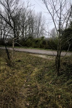 Path that crosses a country road on a cloudy day in winter