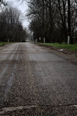 Road in a grove with bare trees on a cloudy day in winter