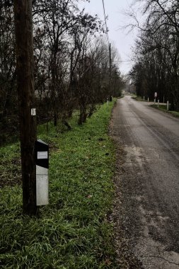 Reflector on a wooden pole by the edge of a road in a grove in the italian countryside