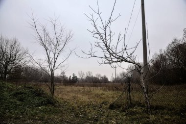 Bare field with an electricity pylon on a cloudy day in winter
