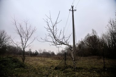 Bare field with an electricity pylon on a cloudy day in winter