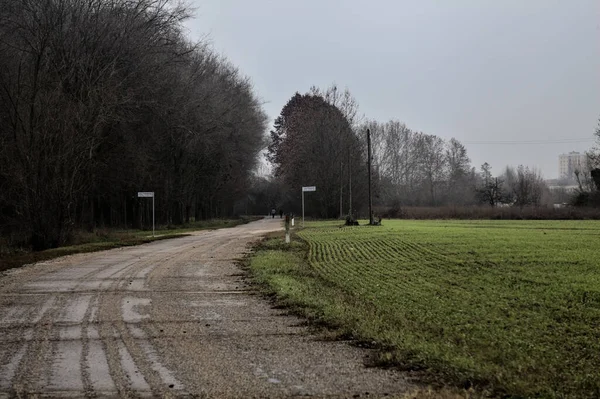 Bend Road Countryside Cloudy Day Winter — 스톡 사진