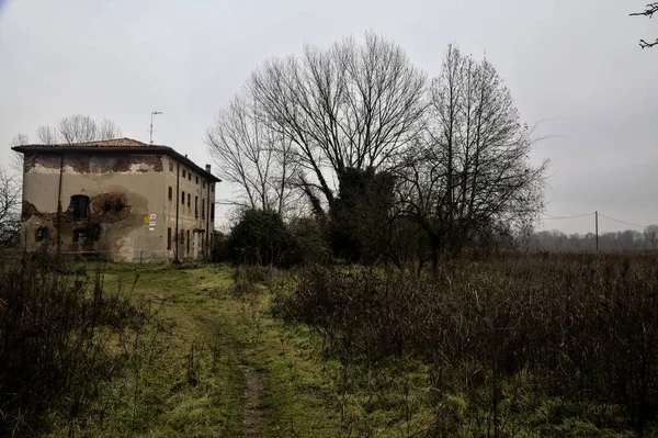 Abandoned Country House Bare Trees Next Cloudy Day Winter — Φωτογραφία Αρχείου