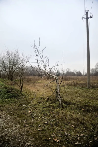 Bare field with an electricity pylon on a cloudy day in winter