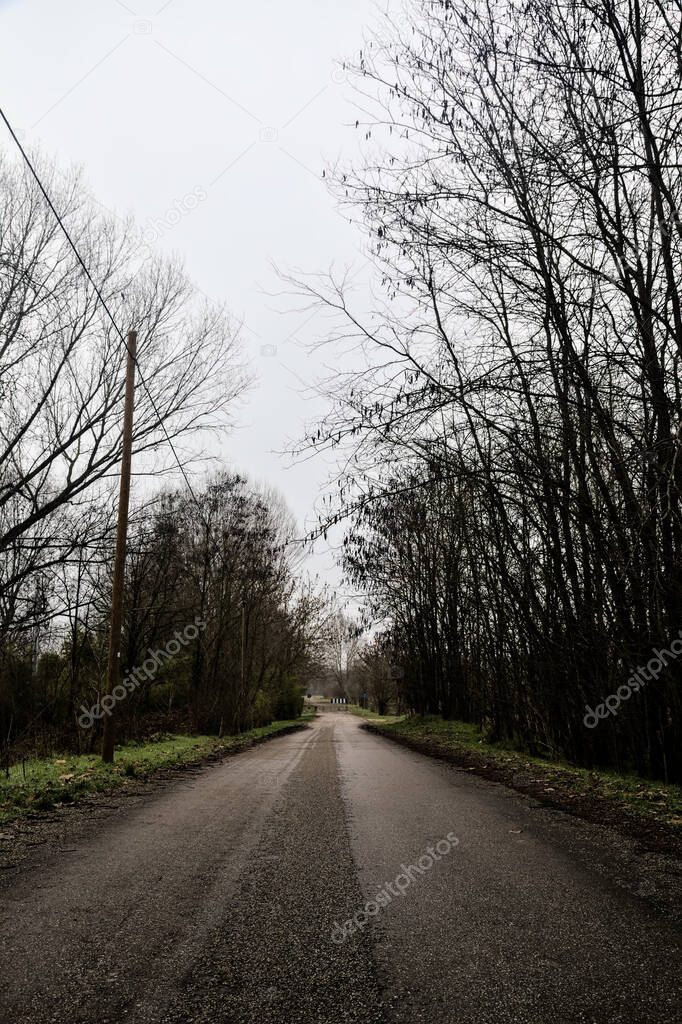 Road in a grove with bare trees on a cloudy day in winter