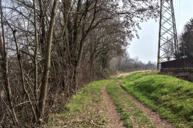 Bulutlu bir günde, şehir merkezindeki bir parkta toprak izi.