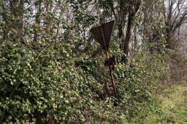 Ağaçlar ve otlarla çevrili yıpranmış dur işareti