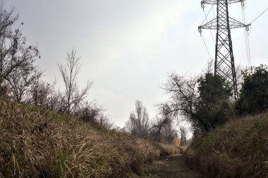 Çıplak ağaçlar ve elektrik direkleriyle dolu bir parkta kışın kuru bir su akıntısının yatağında görülen patika.