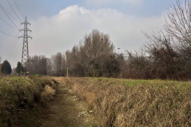 Çıplak ağaçlar ve elektrik direkleriyle dolu bir parkta kışın kuru bir su akıntısının yatağında görülen patika.