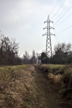 Çıplak ağaçlar ve elektrik direkleriyle dolu bir parkta kışın kuru bir su akıntısının yatağında görülen patika.